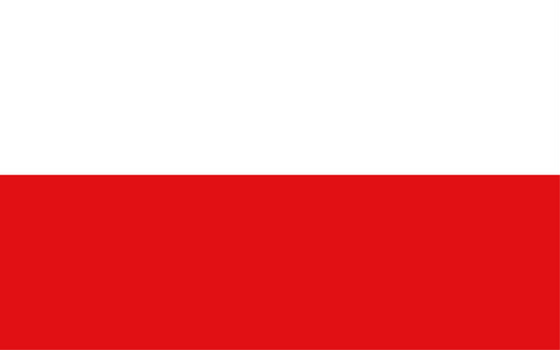 Poland Waving Flag - 9” x 6”