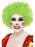Clown Afro Green Wig - The Ultimate Balloon & Party Shop