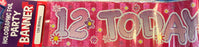 Age 12 Birthday Banner