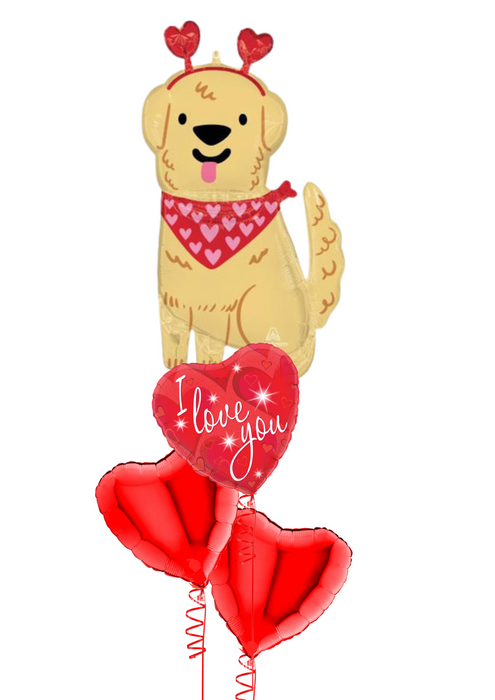 Valentines Day Cute Puppy Balloon Display