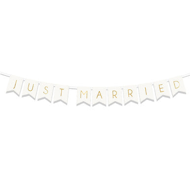 Just Married Letter Banner