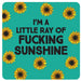 Gift Drinks Coaster - Ray Of F*king Sunshine The Ultimate Balloon And Party Shop Cheltenham & Gloucester Balloons & Fancy Dress 