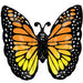 24" Foil Butterfly Shape Balloon - Black/Orange The Ultimate Balloon And Party Shop Cheltenham & Gloucester Balloons & Fancy Dress 