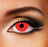 MIni Sclera Red Eye Accessories - 1 Day