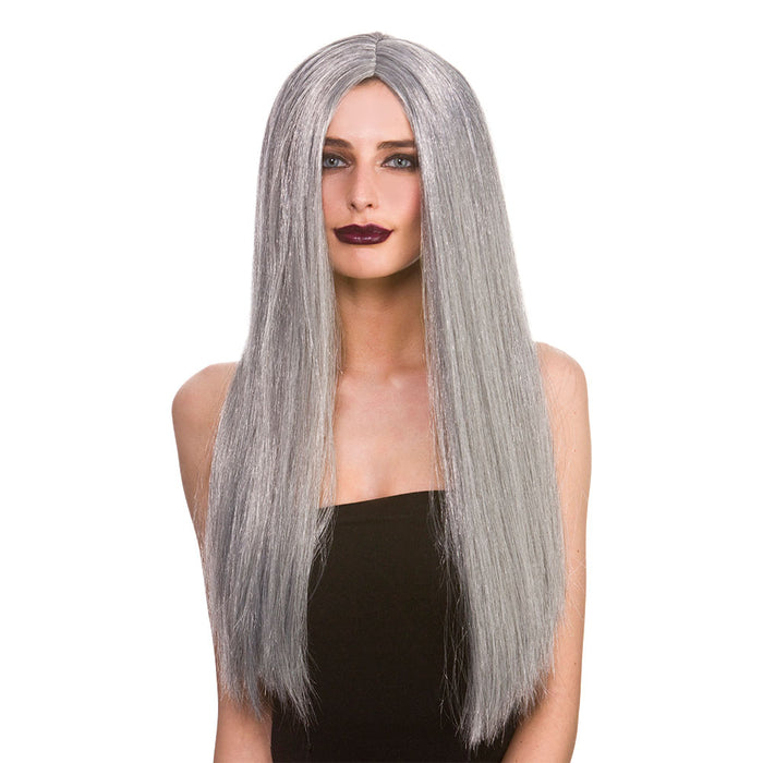 Classic Long Dark Grey Wig