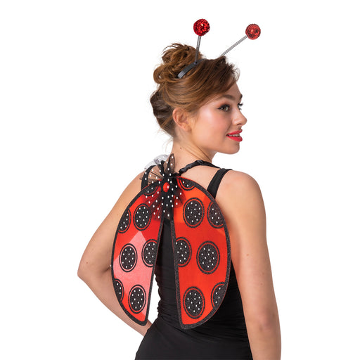 Ladybird Accesory Set