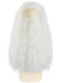Sorcerer/Wizard Wig & Beard Set (White) The Ultimate Balloon And Party Shop Cheltenham & Gloucester Balloons & Fancy Dress 