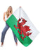 Large Welsh Flag (5ft x 3ft) The Ultimate Balloon And Party Shop Cheltenham & Gloucester Balloons & Fancy Dress 