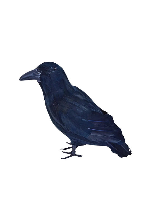 Skeleton Feather Prop - Raven The Ultimate Balloon And Party Shop Cheltenham & Gloucester Balloons & Fancy Dress 