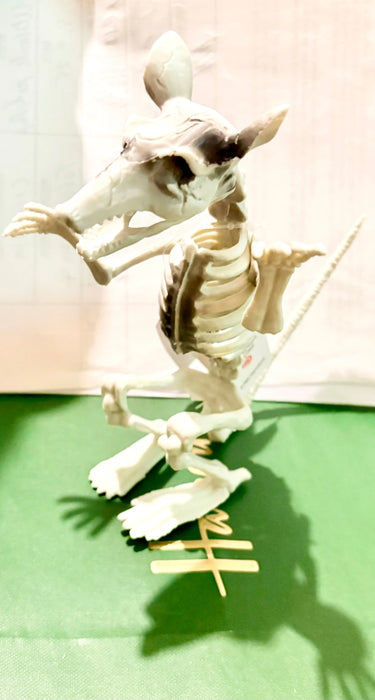 Skeleton Halloween Model - Rat (15cm) The Ultimate Balloon And Party Shop Cheltenham & Gloucester Balloons & Fancy Dress 