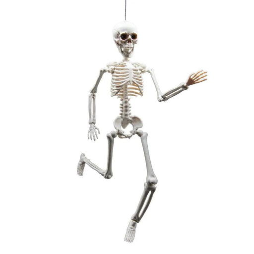 Skeleton Plastic Model - (40cm) The Ultimate Balloon And Party Shop Cheltenham & Gloucester Balloons & Fancy Dress 