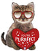 You’re Purrfect Valentine’s  Foil Balloon The Ultimate Balloon And Party Shop Cheltenham & Gloucester Balloons & Fancy Dress 