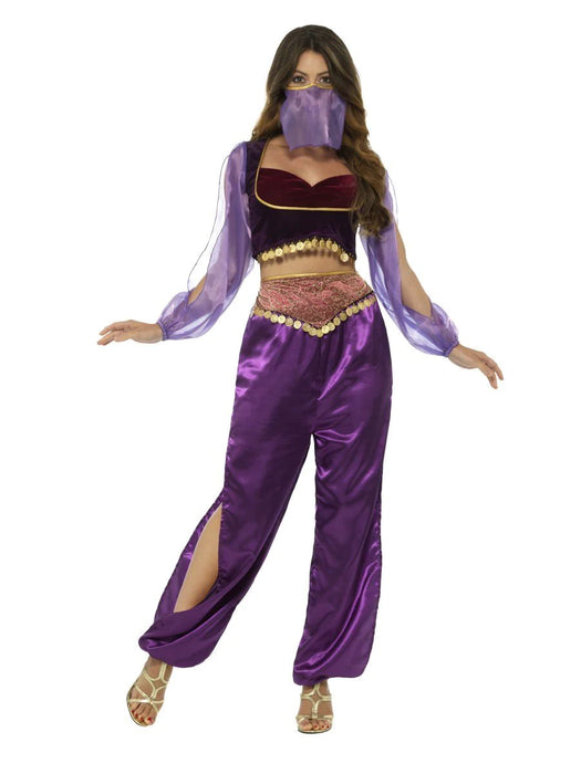 Arabian Princess Costume