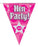 Hen Party Pink Bunting
