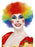 Clown Afro Multi Wig - The Ultimate Balloon & Party Shop