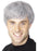 Corporate Male Grey Wig - The Ultimate Balloon & Party Shop