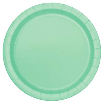 Round Paper Plates - Mint Green - The Ultimate Balloon & Party Shop