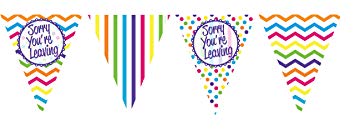 Paper Bunting - Sorry You're Leaving - The Ultimate Balloon & Party Shop