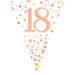 Age 18 Bunting - Rose Gold The Ultimate Balloon And Party Shop Cheltenham & Gloucester Balloons & Fancy Dress 