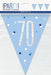 Age 70 Bunting - Blue - The Ultimate Balloon & Party Shop