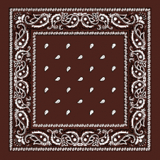 Cowboy Paisley Bandana - Brown The Ultimate Balloon And Party Shop Cheltenham & Gloucester Balloons & Fancy Dress 