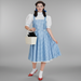Dorothy from Wizard of Oz EX Hire Costume The Ultimate Balloon And Party Shop Cheltenham & Gloucester Balloons & Fancy Dress 