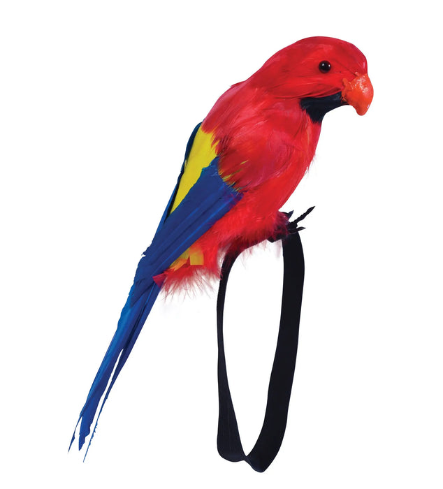 Feather Wrist Parrot The Ultimate Balloon And Party Shop Cheltenham & Gloucester Balloons & Fancy Dress 