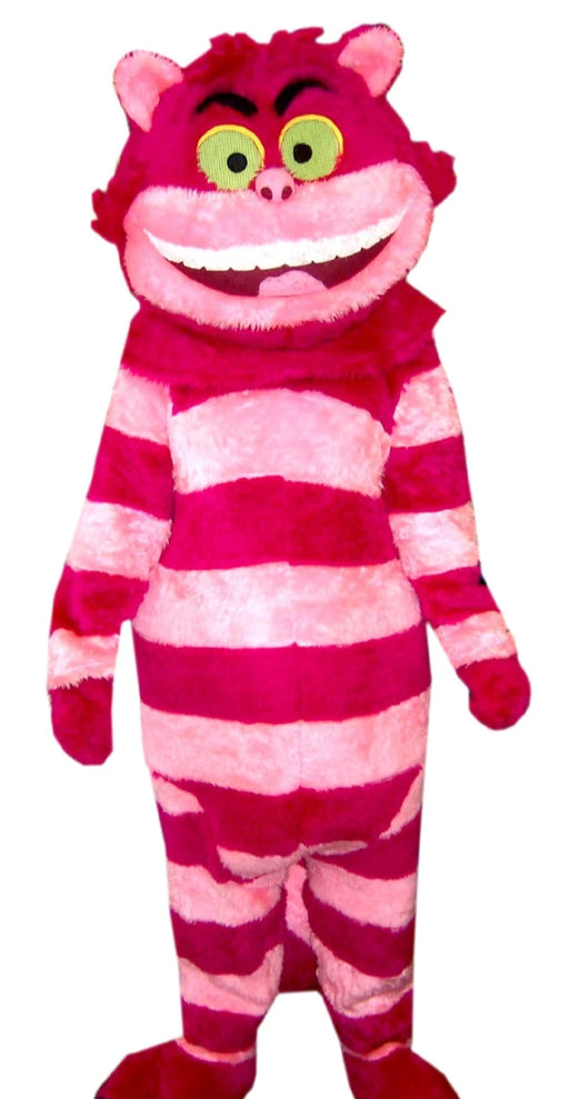 Giant cheesy Cat costume The Ultimate Balloon And Party Shop Cheltenham & Gloucester Balloons & Fancy Dress 