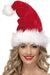 Glitter Santa Plush Hat The Ultimate Balloon And Party Shop Cheltenham & Gloucester Balloons & Fancy Dress 