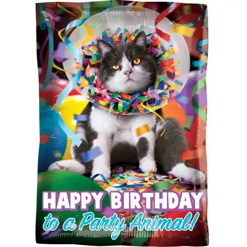 Happy Birthday Foil Balloon - Cat Party The Ultimate Balloon And Party Shop Cheltenham & Gloucester Balloons & Fancy Dress 