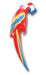 Inflatable Parrot The Ultimate Balloon And Party Shop Cheltenham & Gloucester Balloons & Fancy Dress 