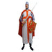 Knight of Camelot Ex Hire Costume The Ultimate Balloon And Party Shop Cheltenham & Gloucester Balloons & Fancy Dress 