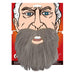Men’s Beard - Grey The Ultimate Balloon And Party Shop Cheltenham & Gloucester Balloons & Fancy Dress 