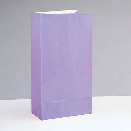 Paper Party Bags - Lilac The Ultimate Balloon And Party Shop Cheltenham & Gloucester Balloons & Fancy Dress 