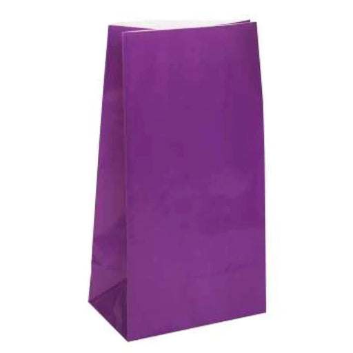 Paper Party Bags - Purple The Ultimate Balloon And Party Shop Cheltenham & Gloucester Balloons & Fancy Dress 