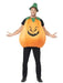 Pumpkin All In One Costume The Ultimate Balloon And Party Shop Cheltenham & Gloucester Balloons & Fancy Dress 