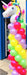 Rainbow Balloon Column with Unicorn Topper The Ultimate Balloon And Party Shop Cheltenham & Gloucester Balloons & Fancy Dress 