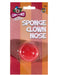 Sponge Clown Nose The Ultimate Balloon And Party Shop Cheltenham & Gloucester Balloons & Fancy Dress 