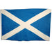 St. Andrews/Scotland Flag The Ultimate Balloon And Party Shop Cheltenham & Gloucester Balloons & Fancy Dress 