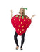 Strawberry Costume The Ultimate Balloon And Party Shop Cheltenham & Gloucester Balloons & Fancy Dress 