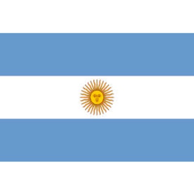 Argentina Flag - The Ultimate Balloon & Party Shop