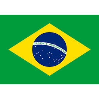 Brazil Flag - The Ultimate Balloon & Party Shop