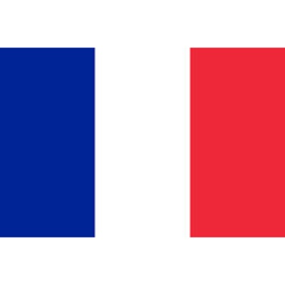 French Flag - The Ultimate Balloon & Party Shop