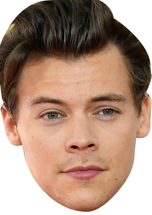 Harry Styles Mask  I