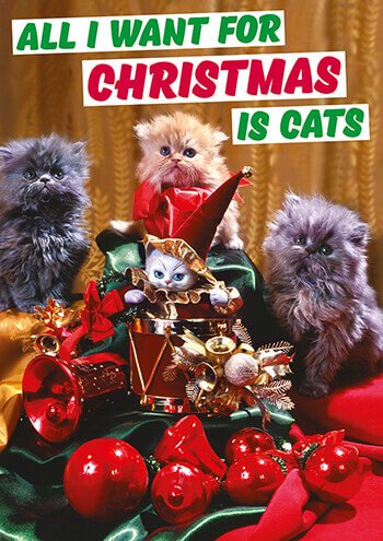 Comedy Christmas Card - All I Want For Xmas Is Cats.