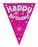 Birthday Bunting - Hot Pink - The Ultimate Balloon & Party Shop