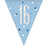 Age 16 Bunting - Blue