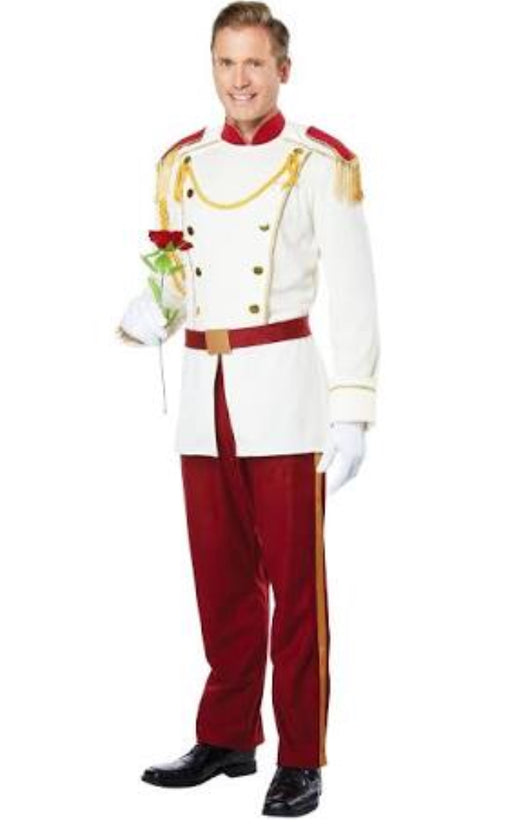 Handsome Prince costume hire