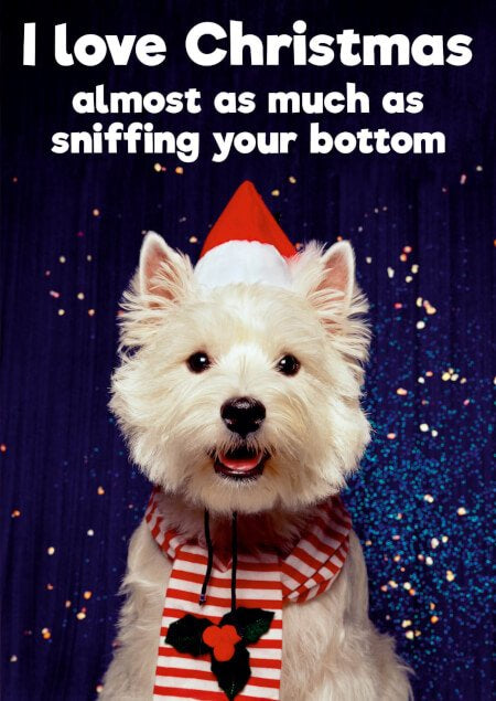 Comedy Christmas Card - Love Xmas As Much As Sniffing.