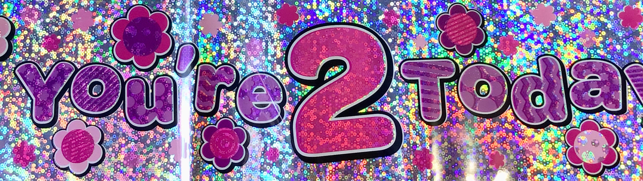 Age 2 Birthday Banner